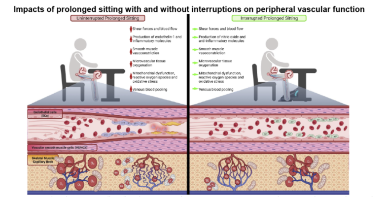 Sedentary Activity Leads to Health Issues how to incorporate strategies for better Work-Life Balance